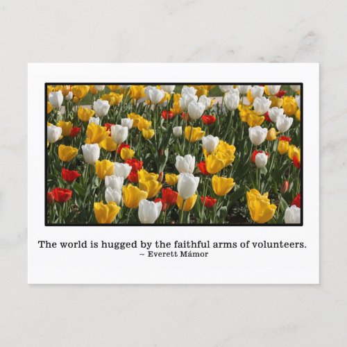 The world is hugged by volunteers postcard