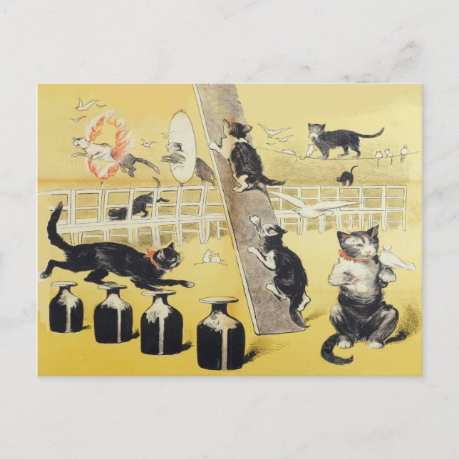 The World Of Cat Postcard (Front)