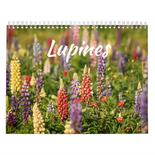 The World of Lupines Calendar