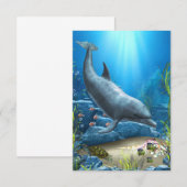 The world of the Dolphin (Front/Back)