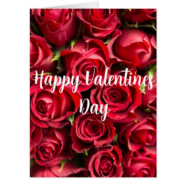The Worlds Largest Valentines Day Jumbo Card (Front)