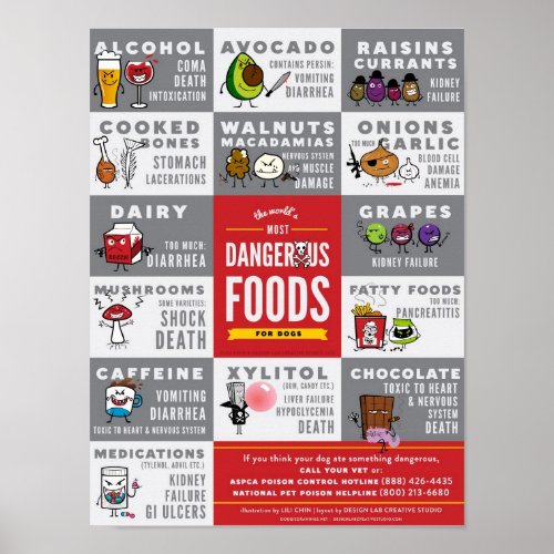 The Worlds Most Dangerous Foods For Dogs Poster