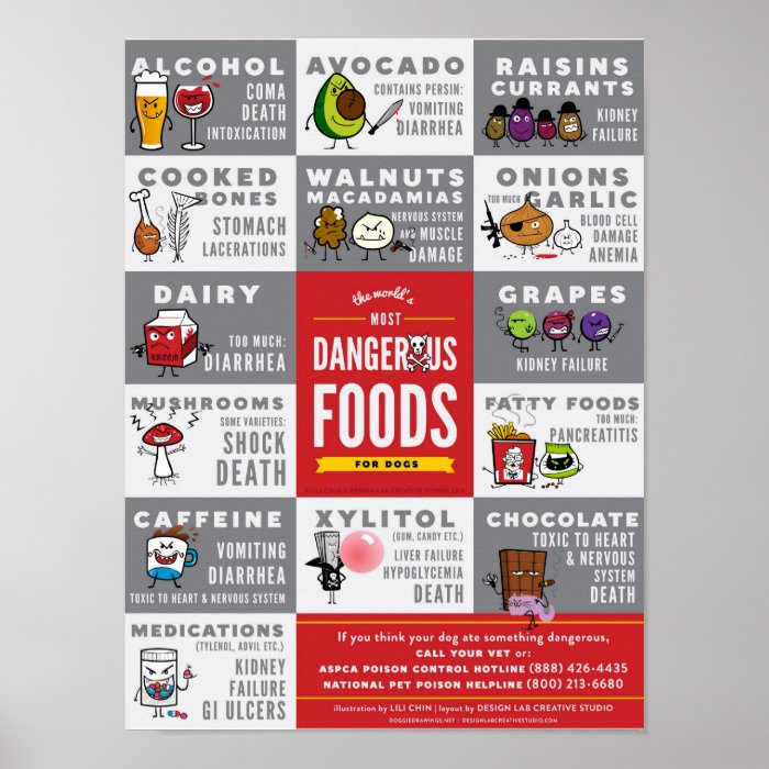 The World's Most Dangerous Foods For Dogs Poster Zazzle