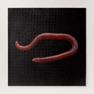 The Worm Collection Jigsaw Puzzle