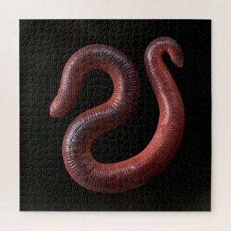 The Worm Collection Jigsaw Puzzle