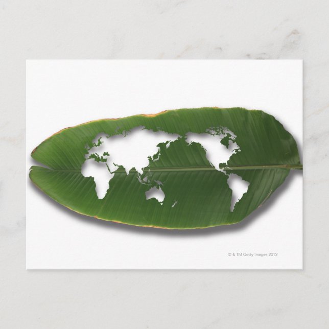 The worm-eaten leaf world map postcard (Front)