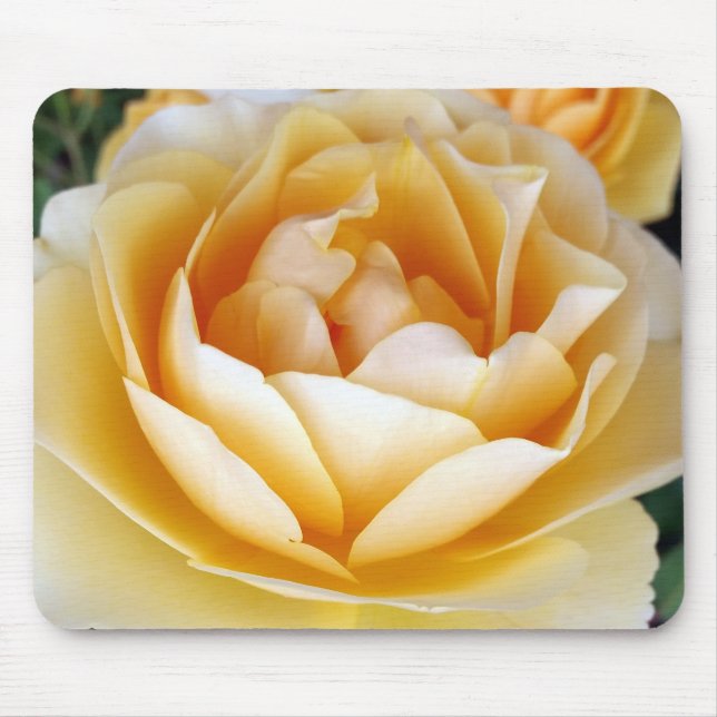 The Yellow Rose Mouse Pad (Front)