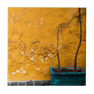 The Yellow Wall Tile