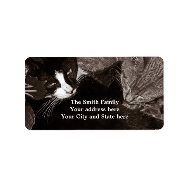 The Yin Yang Cats Label (Front)