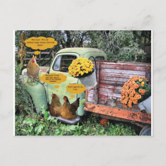 The yolks on you! postcard