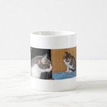 The Young and the Old