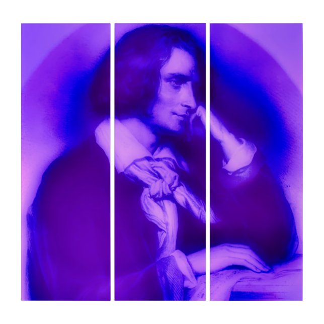 the young & dreamy Franz Liszt -portrait Triptych (Front)