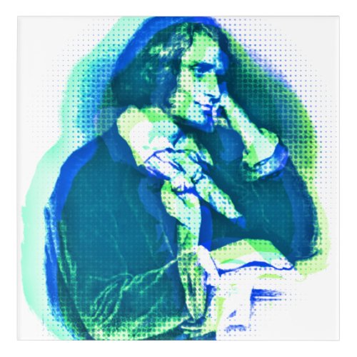 The young Franz Liszt _ pop  art portrait