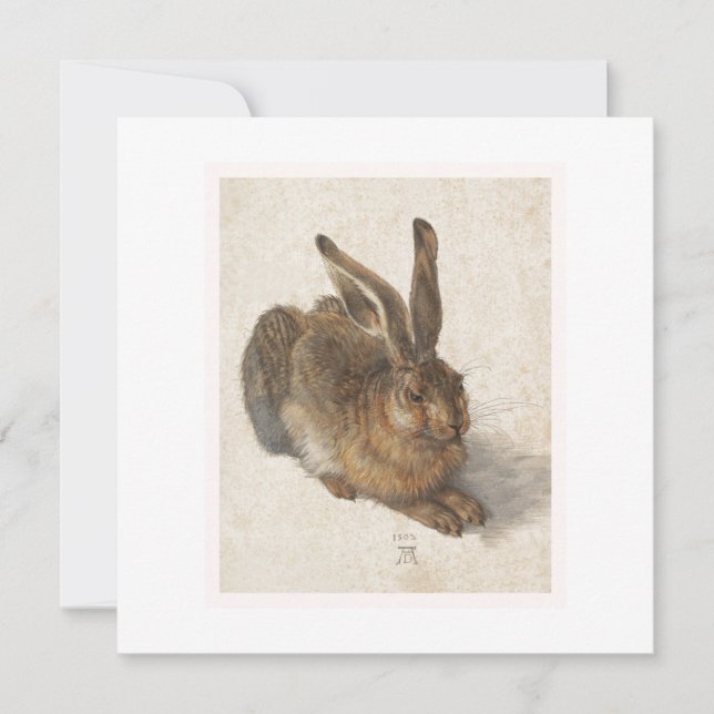 The Young Hare (Front)