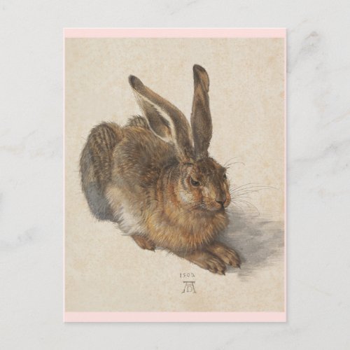 The Young Hare Postcard