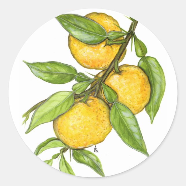 The Yuzu Collection Classic Round Sticker (Front)