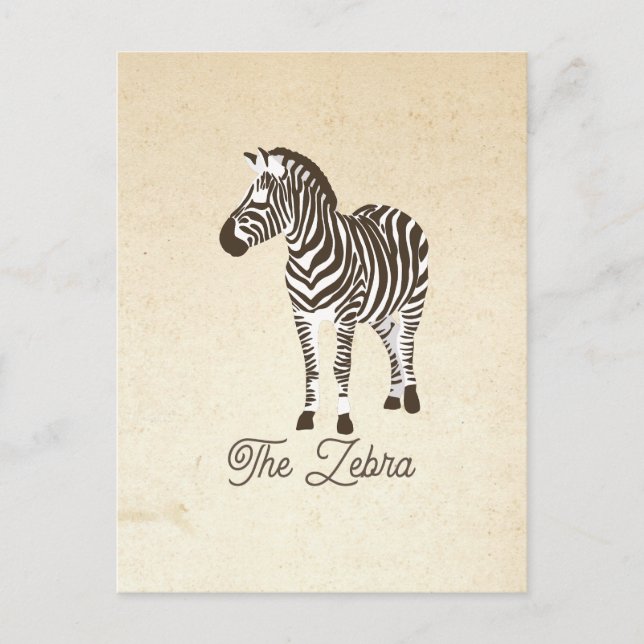 The Zebra Color Block Postcard (Front)