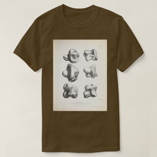 The Zoology of the Voyage of HMS Beagle 1840 Fossi T-Shirt (Design Front)