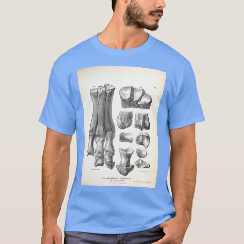 The Zoology of the Voyage of HMS Beagle 1840 Fossi T_Shirt