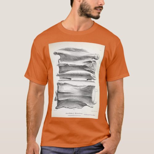 The Zoology of the Voyage of HMS Beagle 1840 Fossi T_Shirt