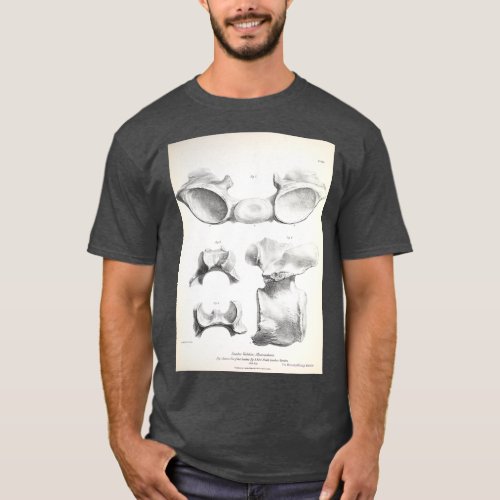 The Zoology of the Voyage of HMS Beagle 1840 Fossi T_Shirt