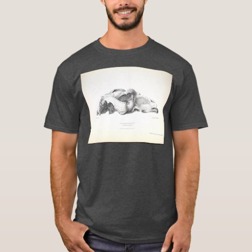 The Zoology of the Voyage of HMS Beagle 1840 Fossi T_Shirt