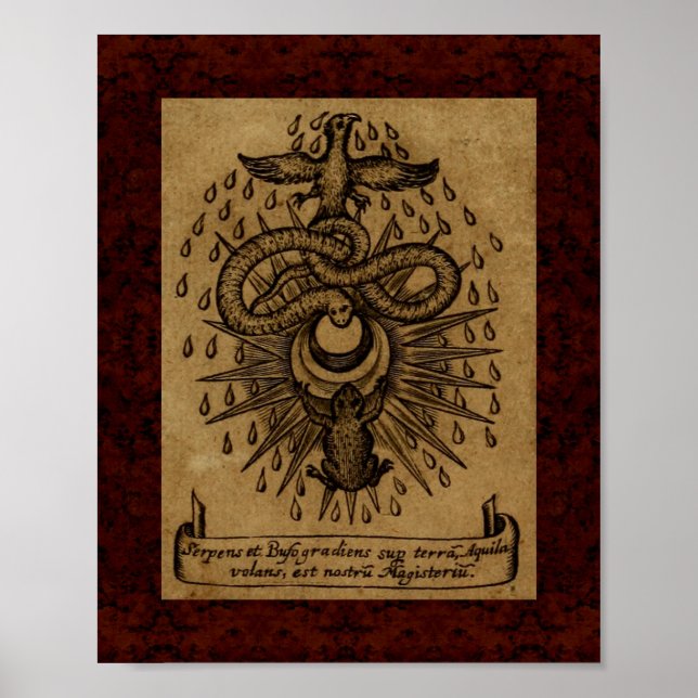 Theatrum Chemicum: 1652 Alchemy Illustration Poster (Front)