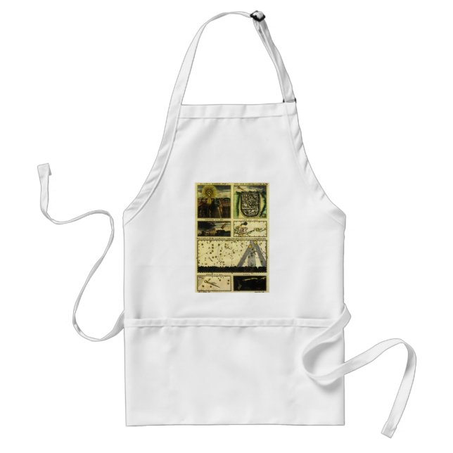 Theatrum Cometicum Comets by Stanislaw Lubieniecki Adult Apron (Front)