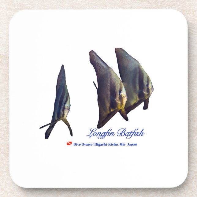 Thee Cute Longfin Batfish Beverage Coaster (Front)