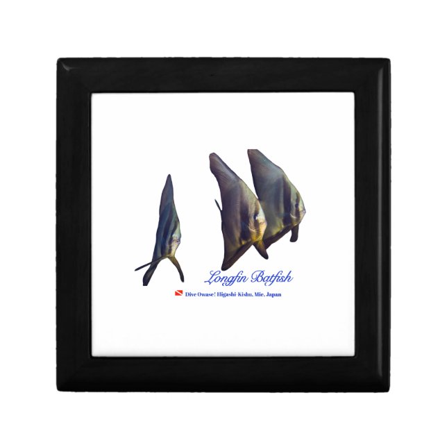 Thee Cute Longfin Batfish Gift Box (Front)