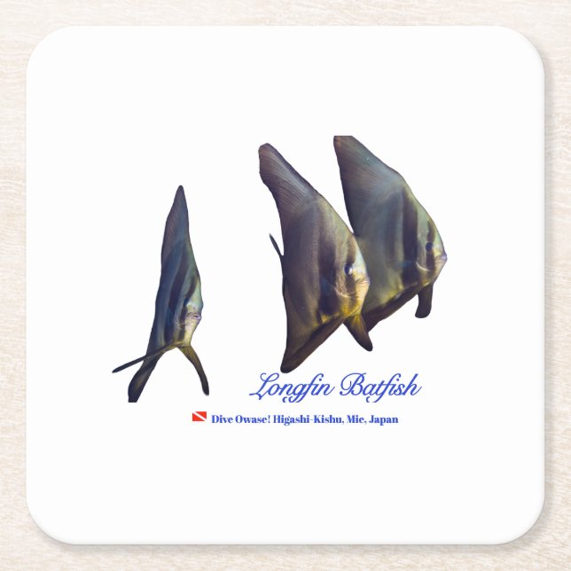 Thee Cute Longfin Batfish Square Paper Coaster (Front)