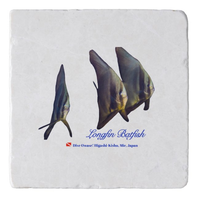 Thee Cute Longfin Batfish Trivet (Front)
