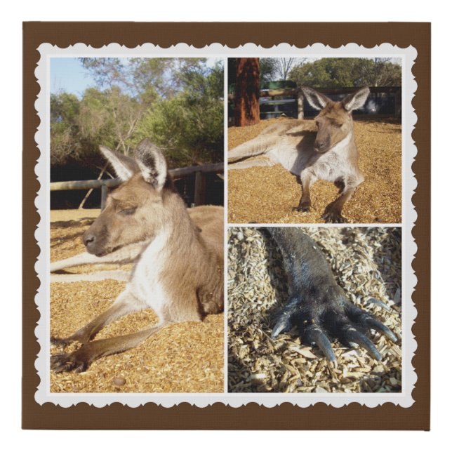 Thee Kangaroo Picture Collage, Faux Canvas Print (Front)
