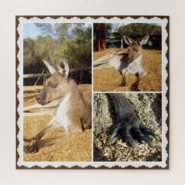 Thee Kangaroo Picture Collage, Jigsaw Puzzle (Vertical)
