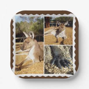 Thee Kangaroo Picture Collage, Paper Plates