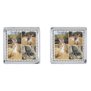 Thee Kangaroo Pictures, Silver Plate Cufflinks
