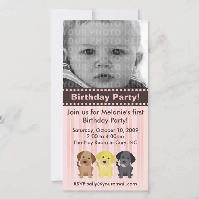 Thee Labradors Pink Birthday Invitation (Front)