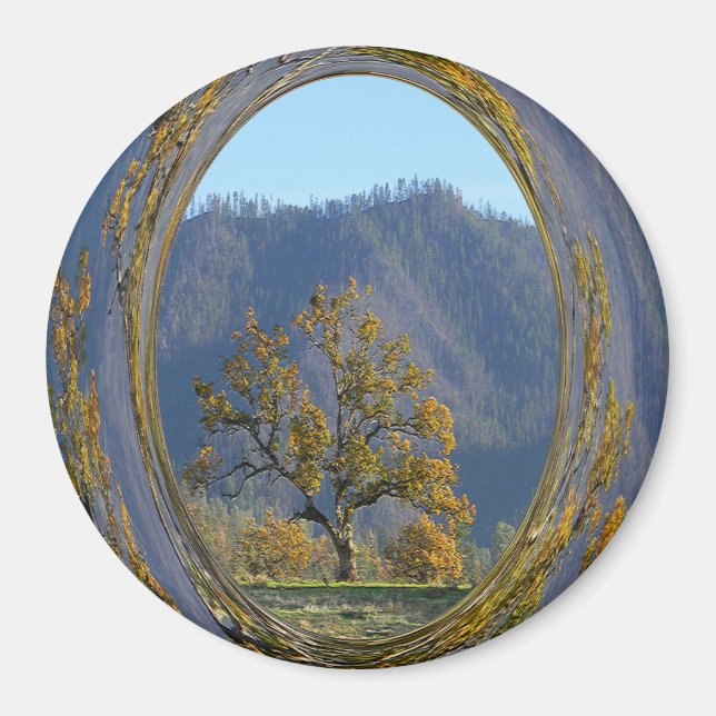 Thee old oak tree.... magnet (Front)