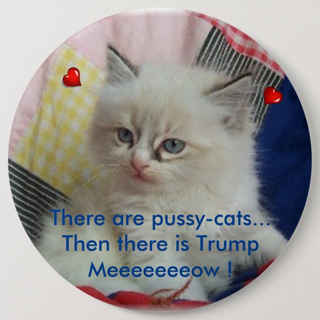 Then there is Trump Button (Front)