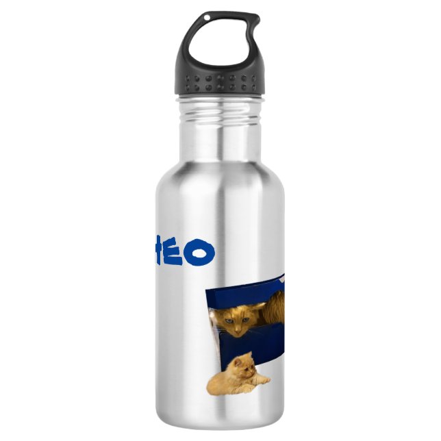 Theo Name With Cat In A Box, Water Bottle (Front)