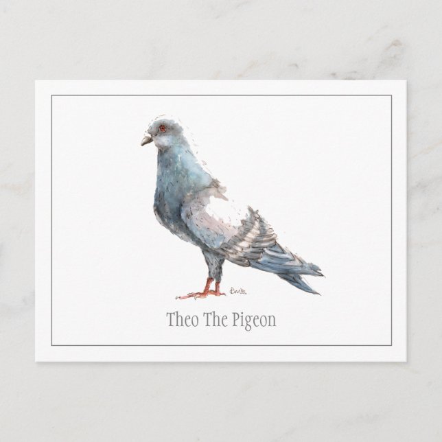 'Theo The Pigeon' Postcard (Front)
