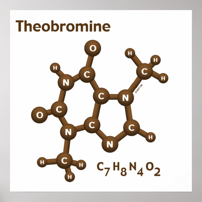 Theobromine Poster (Front)