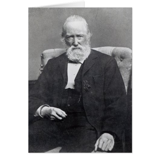 Theodor Storm, c.1886 Cards (Front)