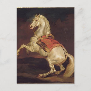 Theodore Gericault:Napoleon's Stallion, Tamerlan Postcard