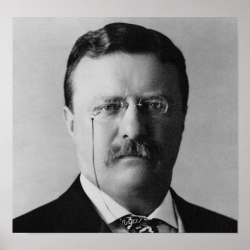 Theodore Roosevelt 26 Poster
