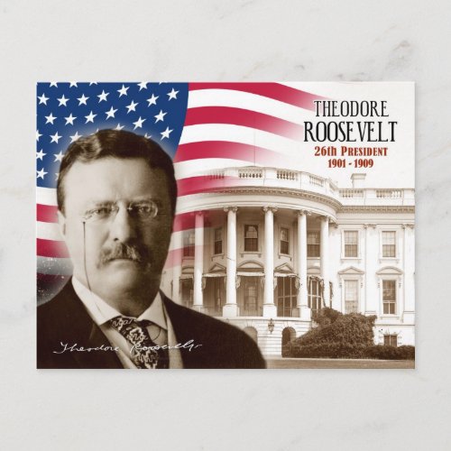 Theodore Roosevelt _  26th President of the US Postcard