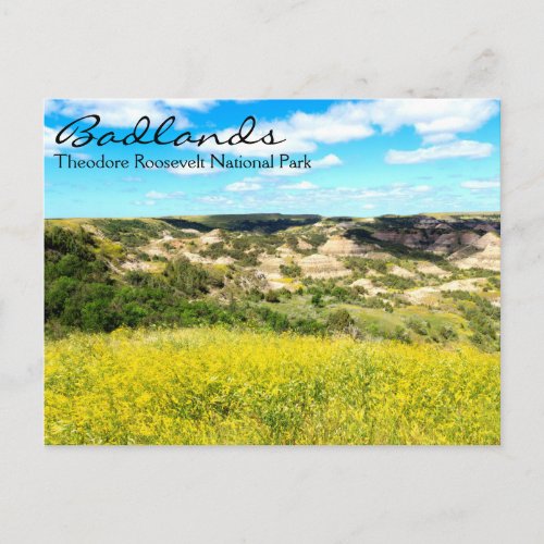 Theodore Roosevelt Badlands ND Postcard