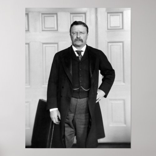 Theodore Roosevelt In His Office Poster