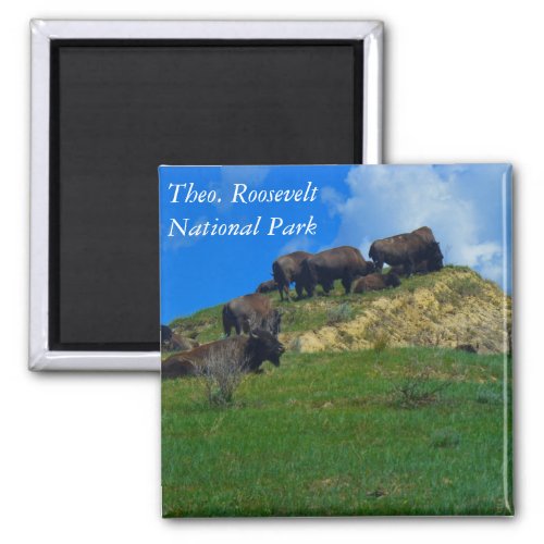 Theodore Roosevelt National Park ND magnet