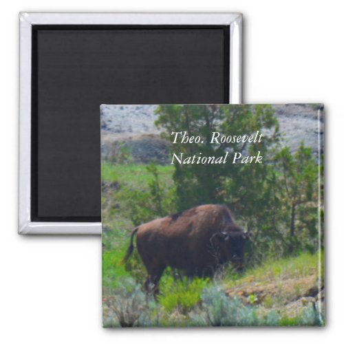 Theodore Roosevelt National Park ND magnet